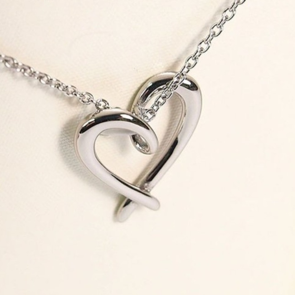 Hallmark Silver stainless steel Heart Necklace “love can not be said”
